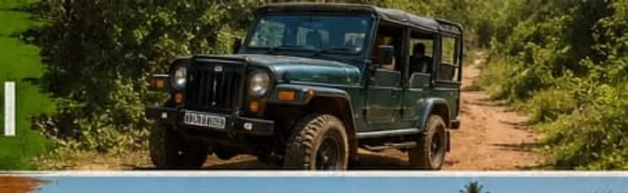 Kumana Jeep Safari