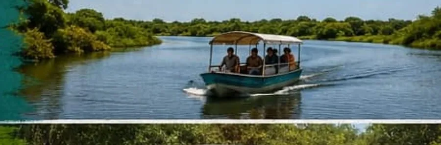 Lagoon Safari